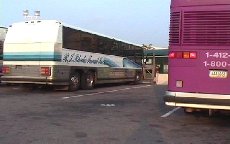 Les bus