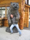animaux